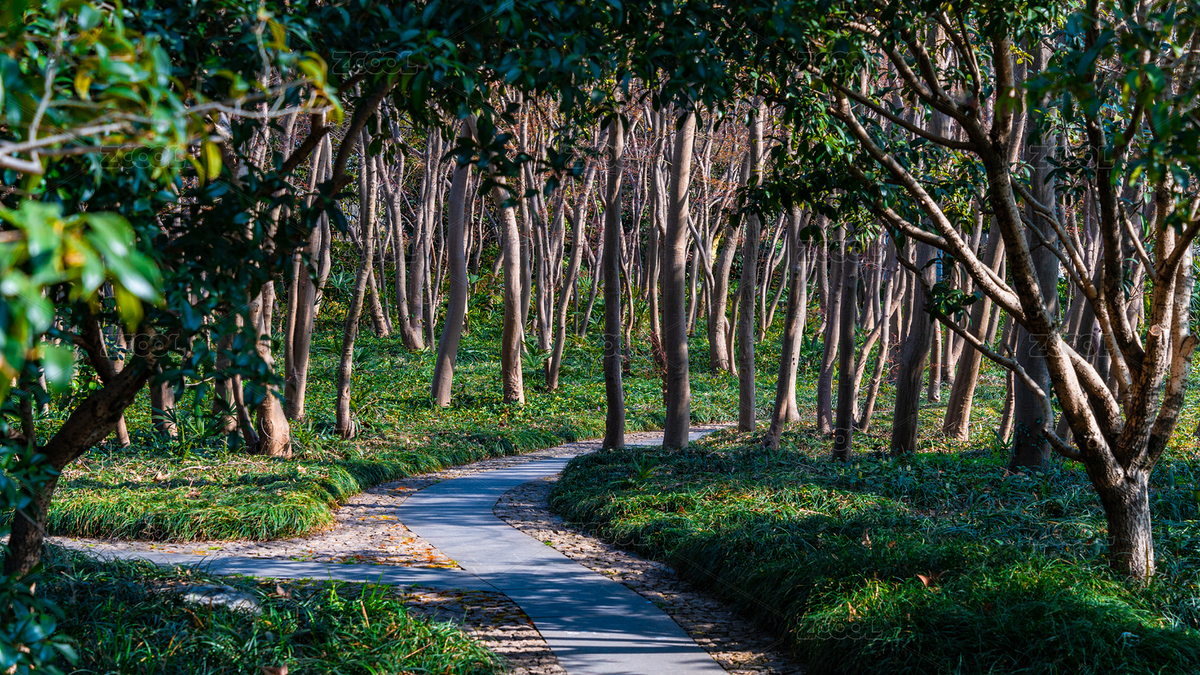 江蘇鎮(zhèn)江城市自然建筑風(fēng)光（主預(yù)覽-5568385） - 未分類 - 站酷設(shè)計(jì)師魔法師洲洲原創(chuàng)素材 - 站酷ZCOOL