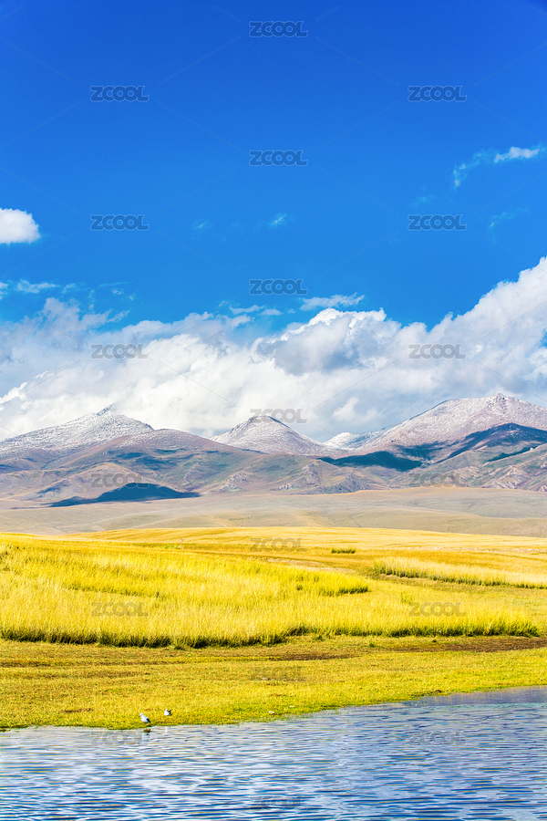 中国新疆巴音郭楞蒙和静县巴音布鲁克天鹅湖（主预览-6427868） - 未分类 - 站酷设计师子晋的时光碎片原创素材 - 站酷ZCOOL
