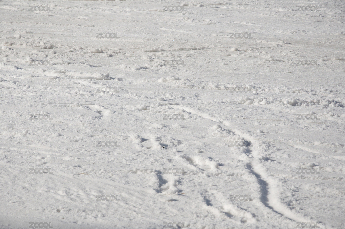 雪地（主预览-8910033） - 未分类 - 站酷设计师racin原创素材 - 站酷ZCOOL