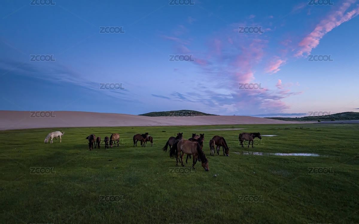 內(nèi)蒙古赤峰翁根毛都沙漠旅游度假村航拍（主預(yù)覽-11102416） - 未分類 - 站酷設(shè)計(jì)師JuikangHsieh原創(chuàng)素材 - 站酷ZCOOL