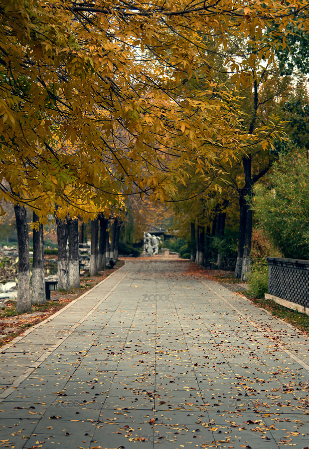 天津北寧公園深秋落葉林蔭小路（主預(yù)覽-447951） - 未分類 - 站酷設(shè)計(jì)師yujoe原創(chuàng)素材 - 站酷ZCOOL