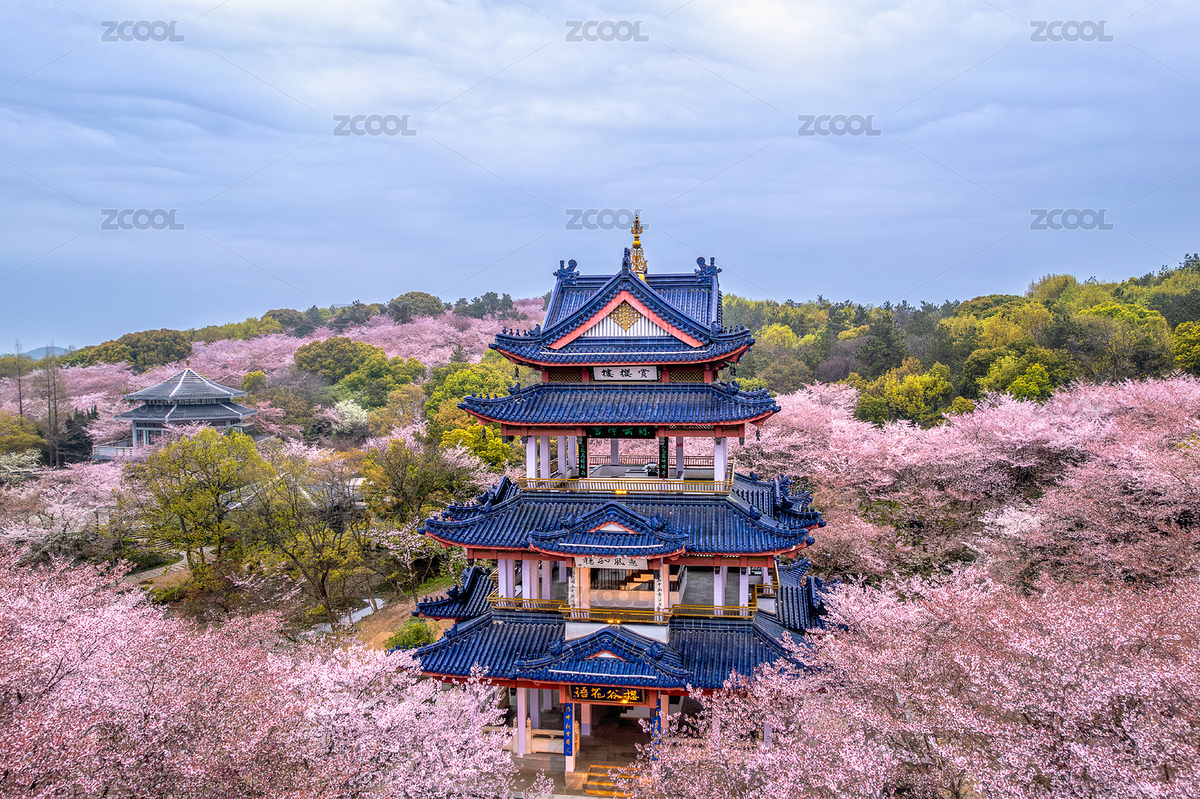 江蘇無錫黿頭渚賞櫻樓航拍特寫鏡頭（主預(yù)覽-6215010） - 未分類 - 站酷設(shè)計(jì)師林林林Rose原創(chuàng)素材 - 站酷ZCOOL