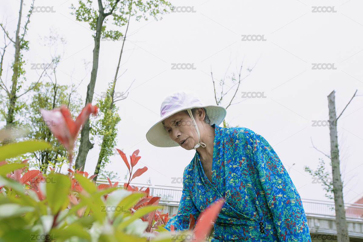 老年婦女外出游玩（主預(yù)覽-6096094） - 未分類 - 站酷設(shè)計(jì)師zhouyuling909原創(chuàng)素材 - 站酷ZCOOL