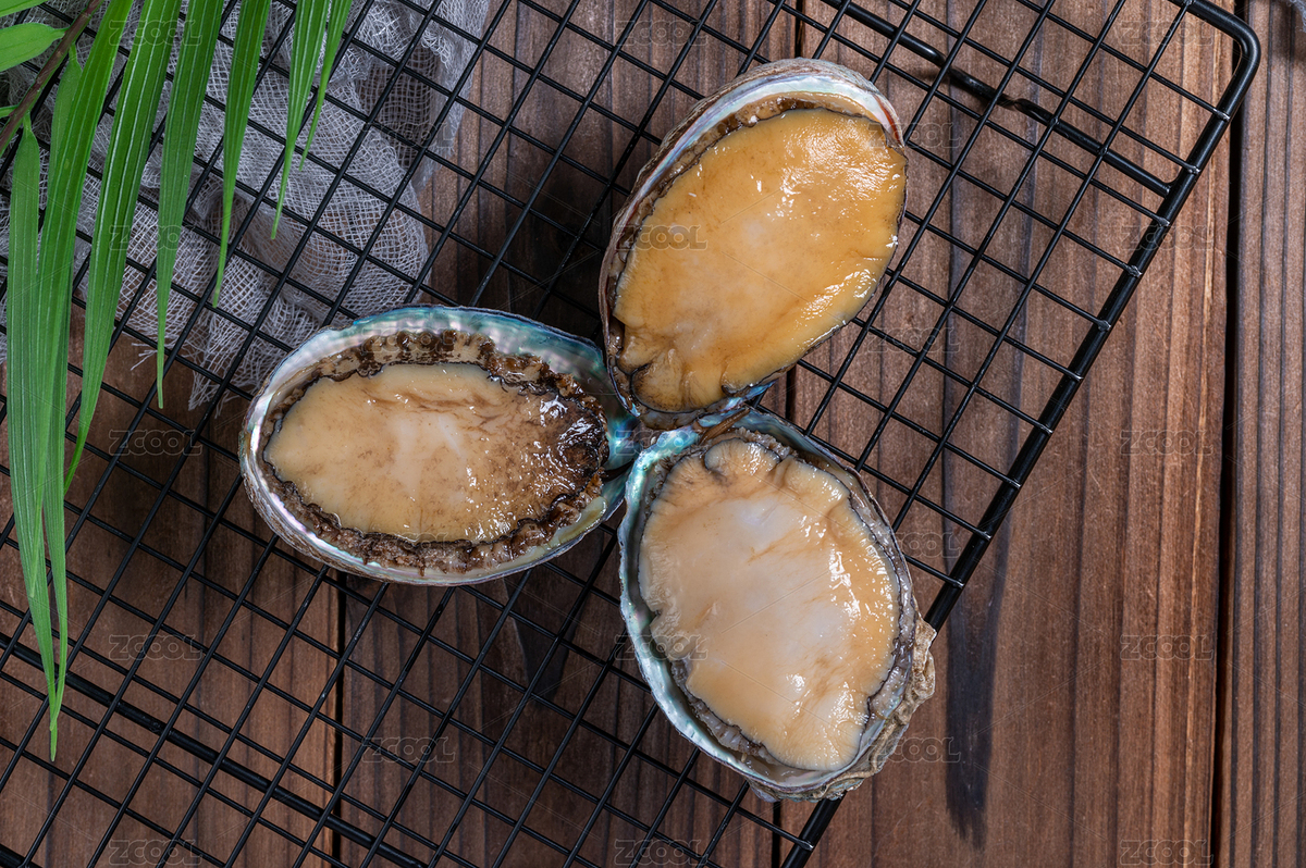 木紋桌燒烤網(wǎng)上的新鮮鮑魚（主預(yù)覽-3913768） - 未分類 - 站酷設(shè)計(jì)師蘇璟棠原創(chuàng)素材 - 站酷ZCOOL