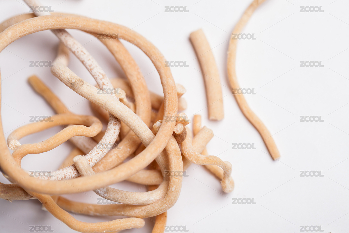 白色背景下的中藥材通草（主預覽-8026278） - 未分類 - 站酷設計師QFStudio原創(chuàng)素材 - 站酷ZCOOL