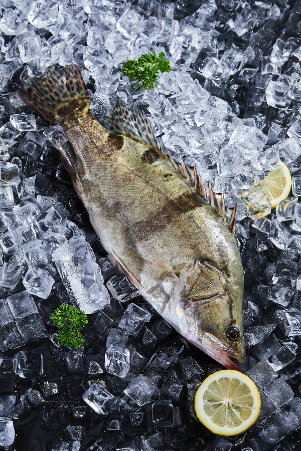 黑色背景冰塊上放著鱖魚（主預(yù)覽-8825806） - 未分類 - 站酷設(shè)計(jì)師Extra奕達(dá)達(dá)原創(chuàng)素材 - 站酷ZCOOL