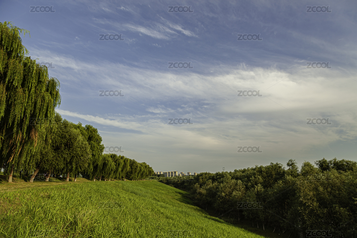 藍(lán)天白云下的河堤（主預(yù)覽-1994639） - 未分類 - 站酷設(shè)計師八零后小象原創(chuàng)素材 - 站酷ZCOOL