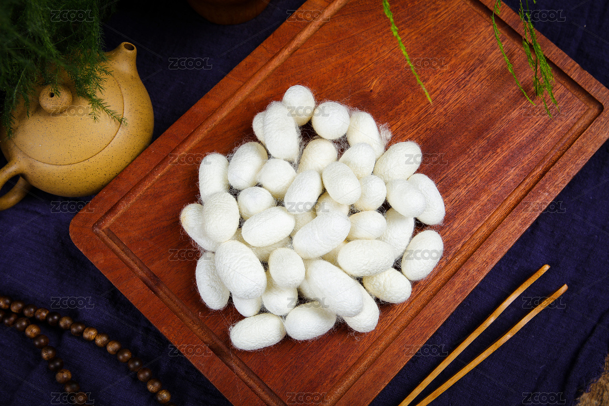 中醫(yī)藥材春蠶繭（主預(yù)覽-8383877） - 未分類 - 站酷設(shè)計師曇華碎影原創(chuàng)素材 - 站酷ZCOOL