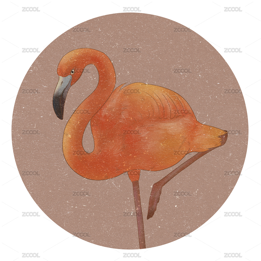 火烈鳥（主預(yù)覽-6292137） - 未分類 - 站酷設(shè)計(jì)師南國夏原創(chuàng)素材 - 站酷ZCOOL