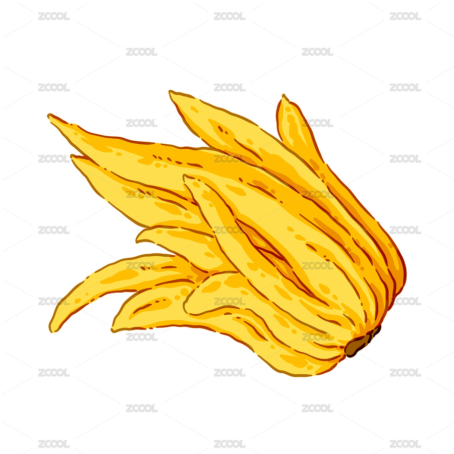 手绘卡通佛手柑（主预览-1097791） - 未分类 - 站酷设计师百合芝士脆原创素材 - 站酷ZCOOL