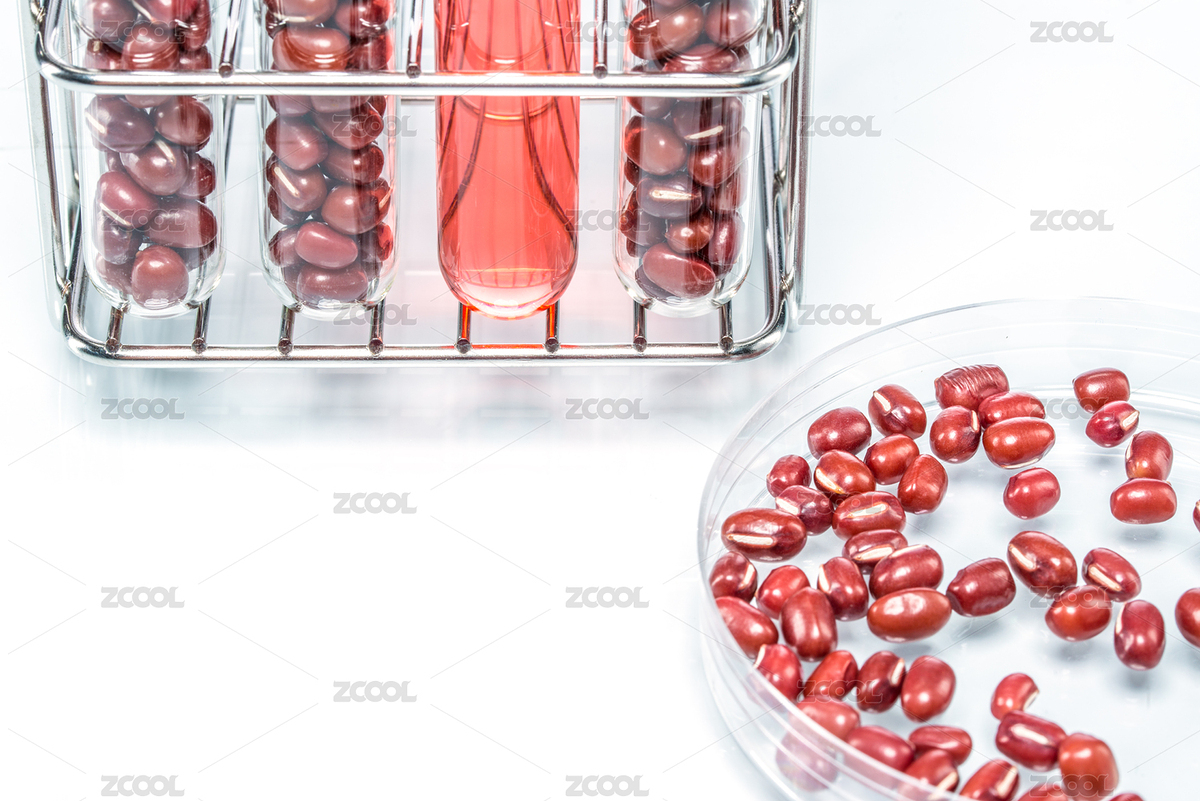 紅豆轉(zhuǎn)基因，植物細胞生物技術(shù)（主預(yù)覽-8390518） - 未分類 - 站酷設(shè)計師PRImageFactory原創(chuàng)素材 - 站酷ZCOOL