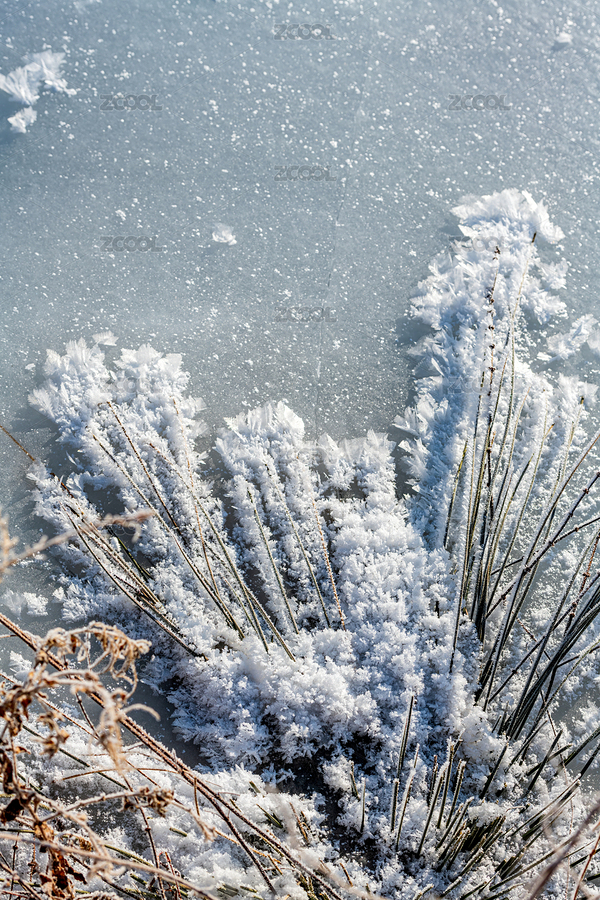 在極度寒冷的氣溫下會(huì)形成各種各樣的美麗冰花（主預(yù)覽-1421506） - 未分類 - 站酷設(shè)計(jì)師都文明原創(chuàng)素材 - 站酷ZCOOL