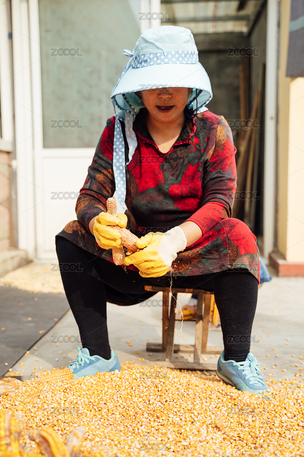 中老年女人正在剝玉米（主預(yù)覽-385949） - 未分類 - 站酷設(shè)計(jì)師家有糧田千萬畝原創(chuàng)素材 - 站酷ZCOOL