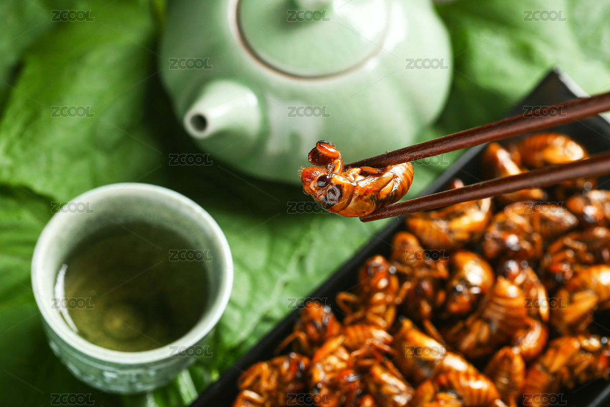 油炸金蟬放在黑色盤子里（主預(yù)覽-2140453） - 未分類 - 站酷設(shè)計師沉默的螺旋JN原創(chuàng)素材 - 站酷ZCOOL