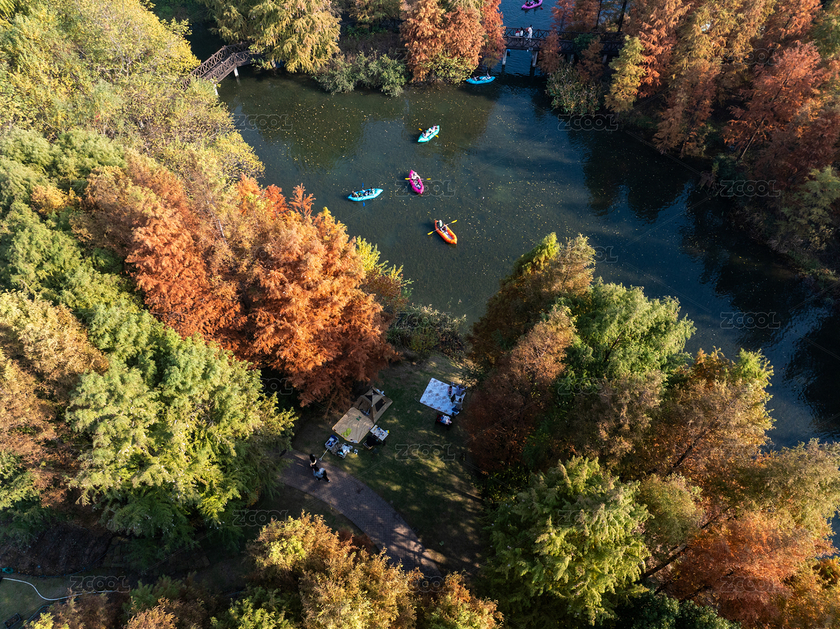 寧波植物園秋日水杉湖景航拍（主預(yù)覽-12559746） - 未分類 - 站酷設(shè)計(jì)師壹棵樹原創(chuàng)素材 - 站酷ZCOOL