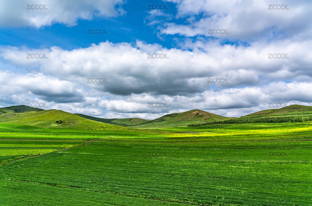 中国内蒙古西乌珠穆沁旗大草原（主预览-8800040） - 未分类 - 站酷设计师凤之灵原创素材 - 站酷ZCOOL