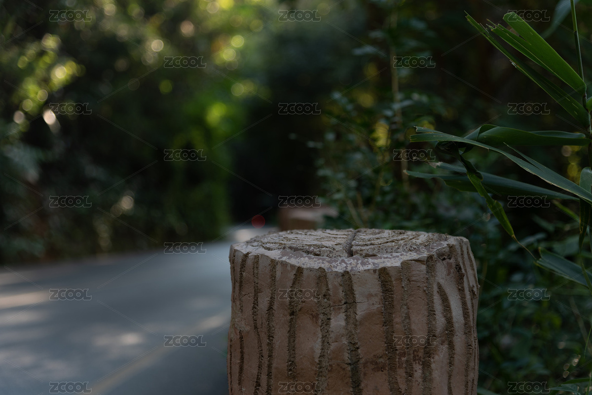 森林木墩（主预览-4703954） - 未分类 - 站酷设计师Anmu丶原创素材 - 站酷ZCOOL