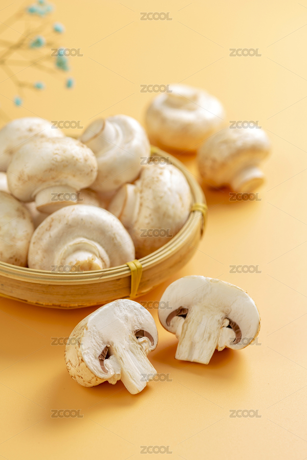 白蘑菇黃色莫蘭迪色系背景（主預覽-8660912） - 未分類 - 站酷設計師金翅大鵬原創(chuàng)素材 - 站酷ZCOOL