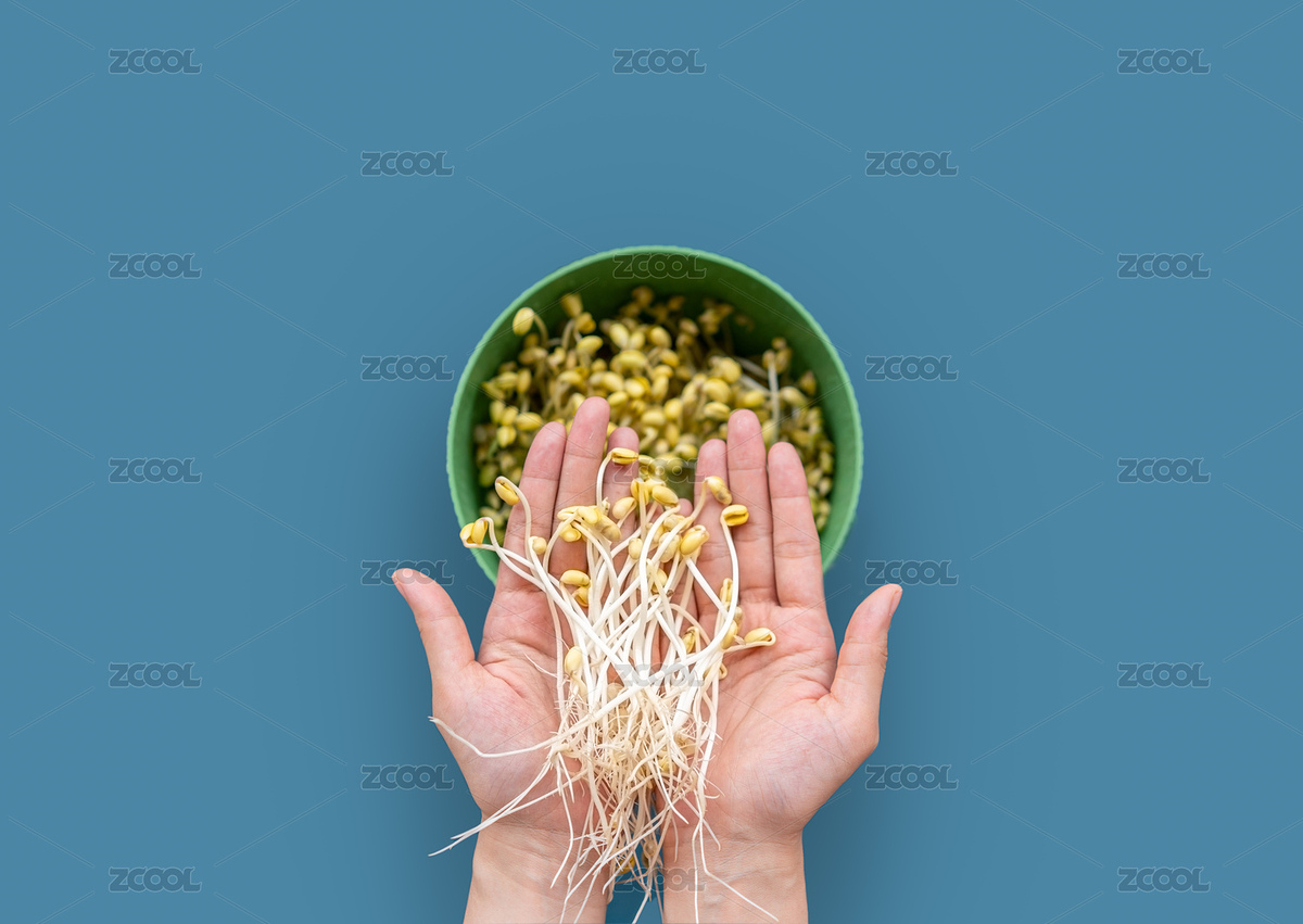 居家用豆芽罐水培的豆芽（主預(yù)覽-7170315） - 未分類 - 站酷設(shè)計師Anciens原創(chuàng)素材 - 站酷ZCOOL