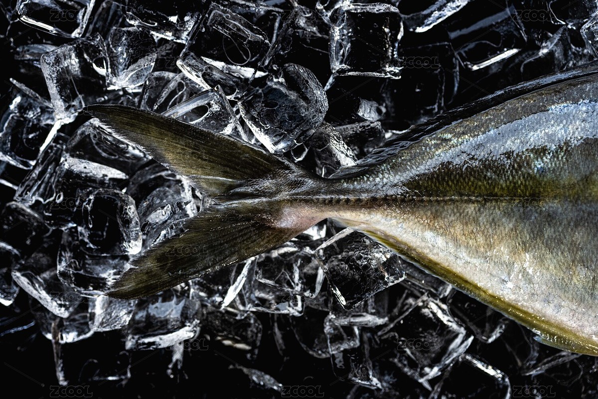 冰塊上的大竹莢魚尾部特寫（主預(yù)覽-3601884） - 未分類 - 站酷設(shè)計(jì)師YenaLou原創(chuàng)素材 - 站酷ZCOOL