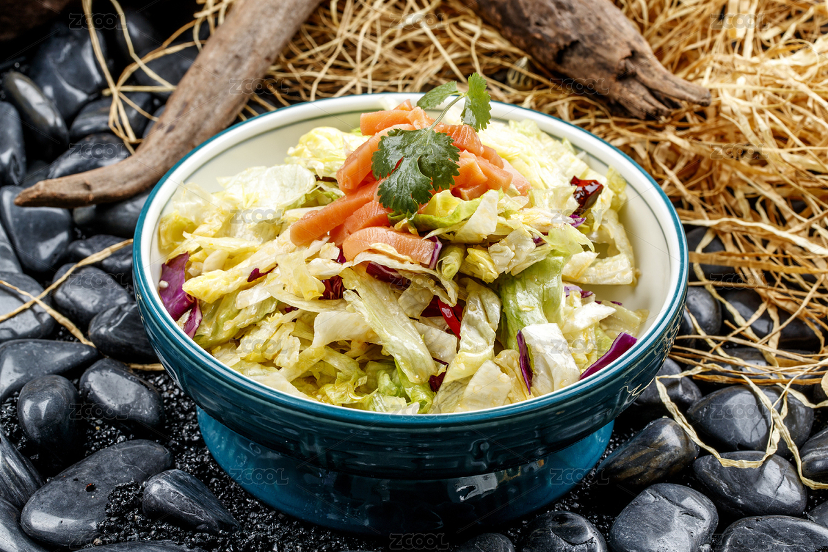 精美涼菜巧拌時(shí)蔬三文魚（主預(yù)覽-2222318） - 未分類 - 站酷設(shè)計(jì)師藍(lán)太陽TNT原創(chuàng)素材 - 站酷ZCOOL