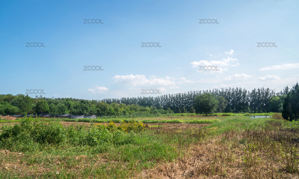 野外利用率不太高的耕地（主預(yù)覽-7139103） - 未分類 - 站酷設(shè)計(jì)師小羽怪原創(chuàng)素材 - 站酷ZCOOL