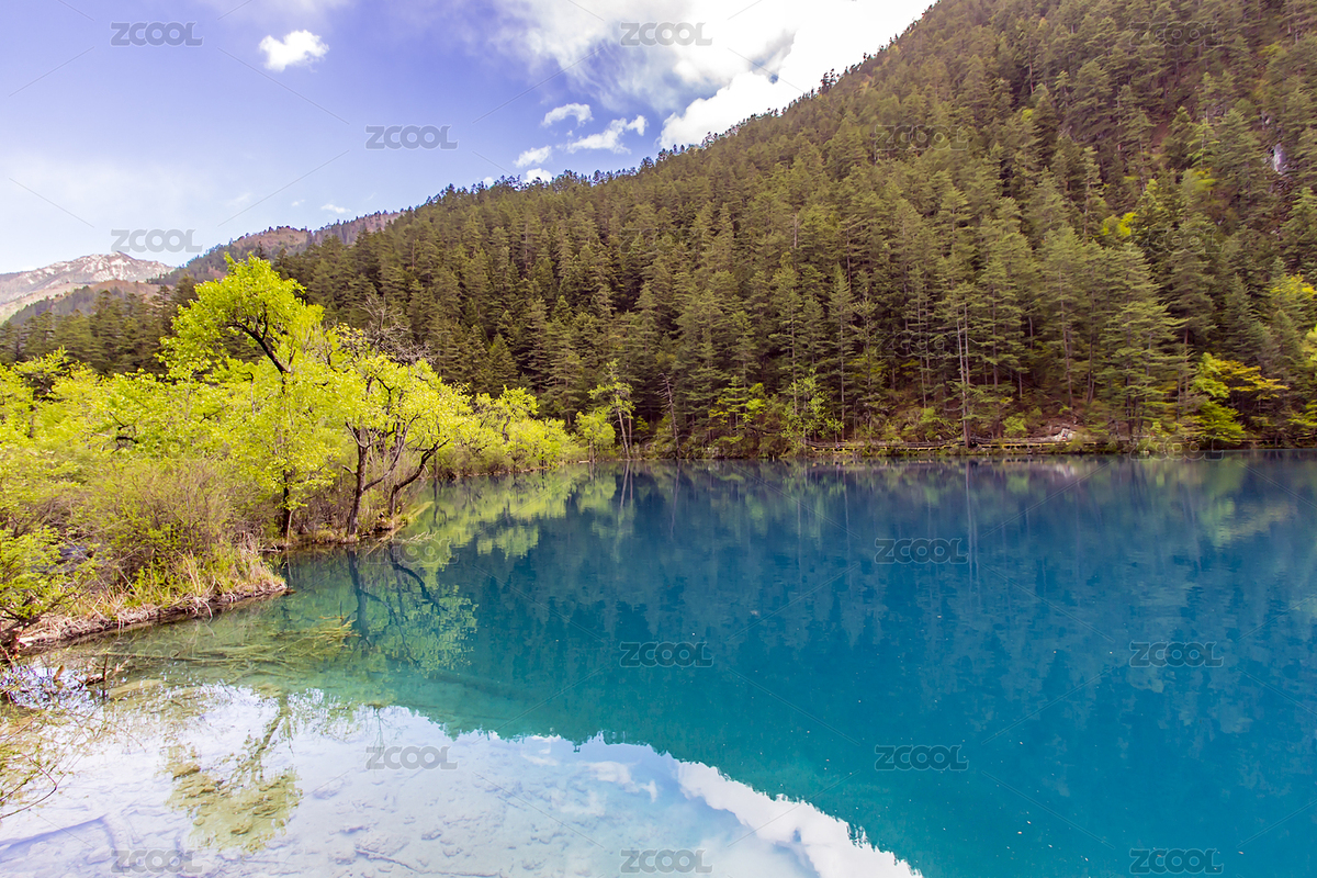 九寨溝（主預(yù)覽-3191516） - 未分類 - 站酷設(shè)計(jì)師caowei430237原創(chuàng)素材 - 站酷ZCOOL