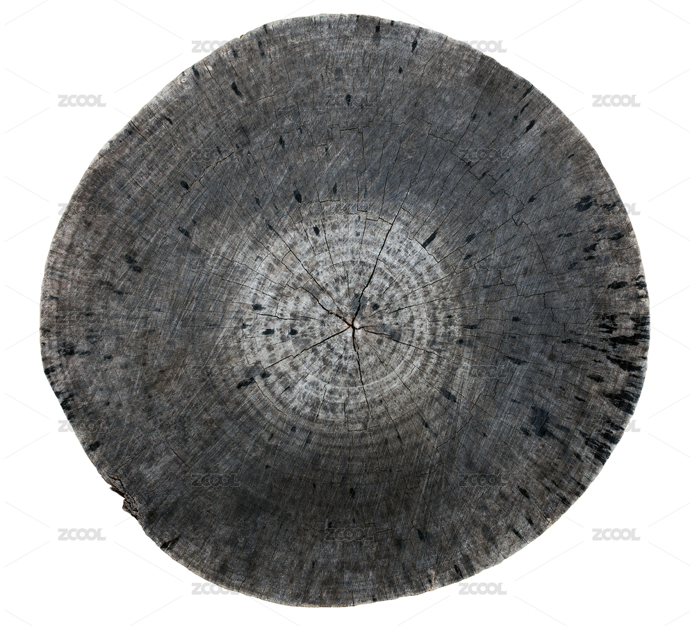 老樹樁的橫截面（主預(yù)覽-8349912） - 未分類 - 站酷設(shè)計(jì)師koosen原創(chuàng)素材 - 站酷ZCOOL