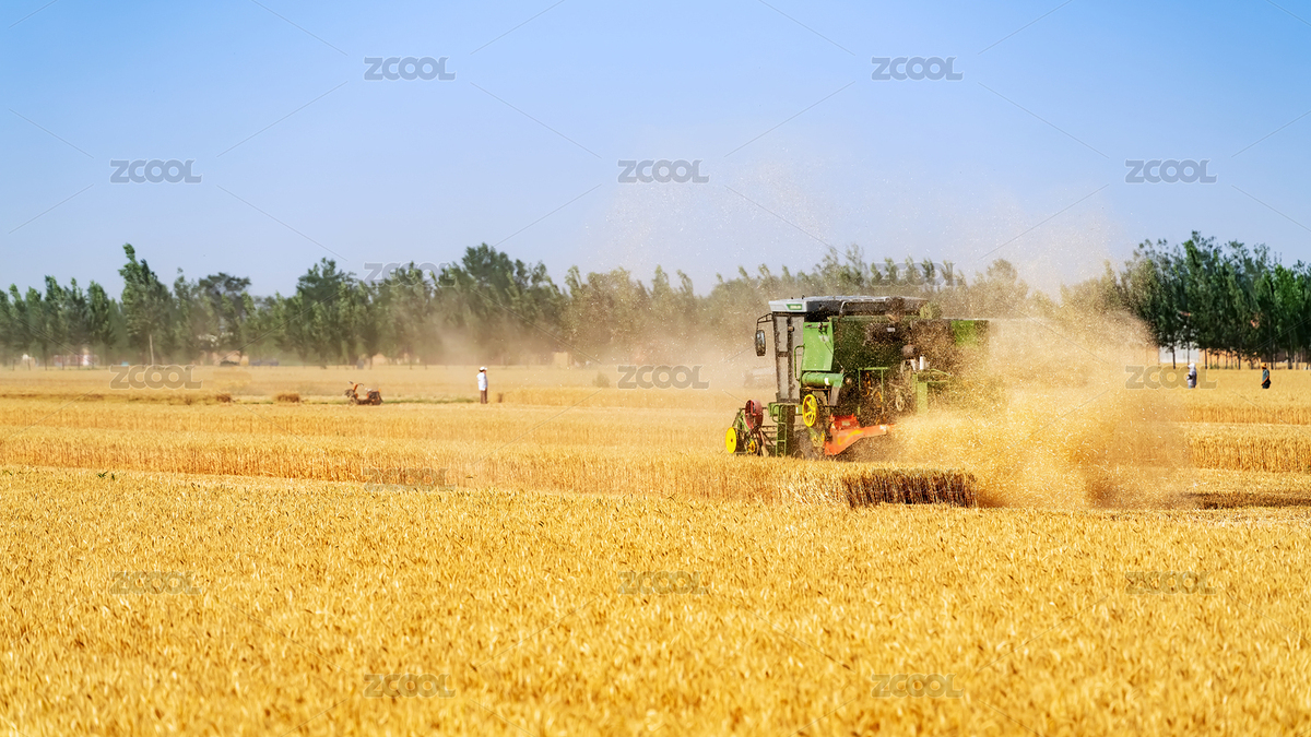 金黃麥田收割機(jī)（主預(yù)覽-10250345） - 未分類 - 站酷設(shè)計(jì)師feichangbaoquan原創(chuàng)素材 - 站酷ZCOOL