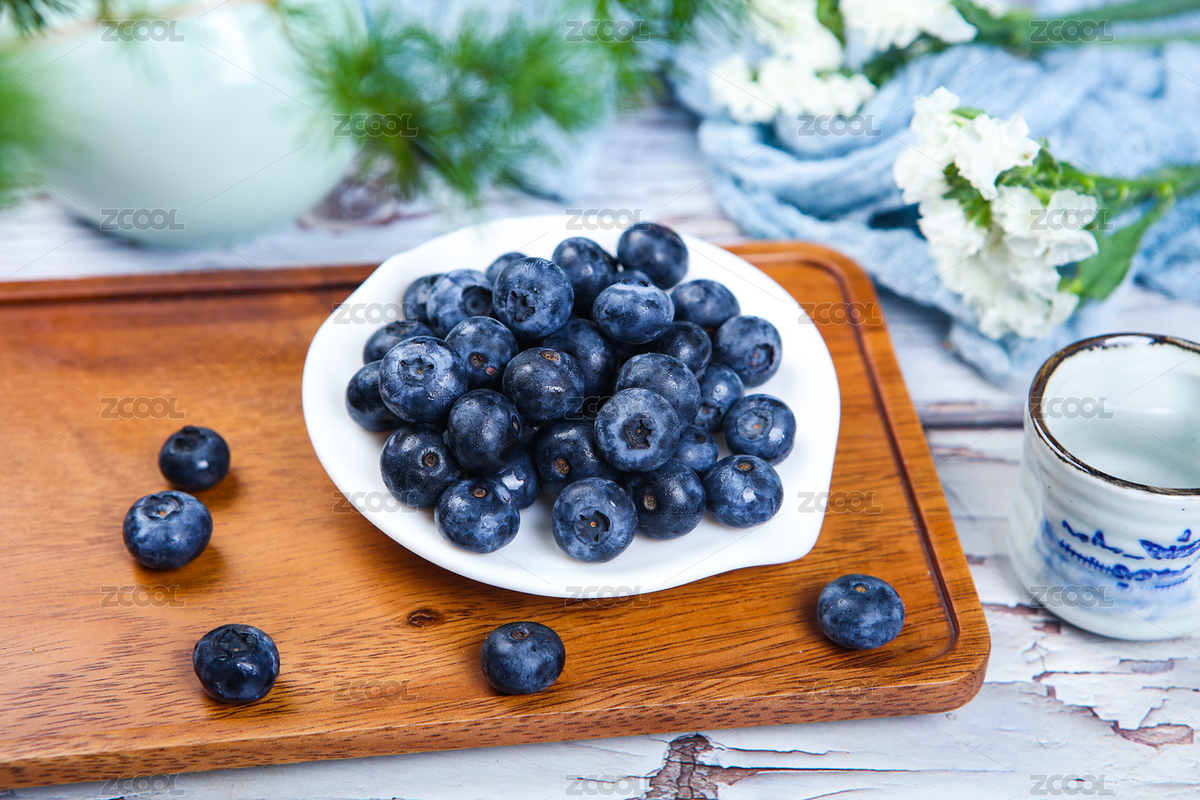 富含花青素抗氧化的新鮮水果藍(lán)莓（主預(yù)覽-8665054） - 未分類 - 站酷設(shè)計師曇華碎影原創(chuàng)素材 - 站酷ZCOOL