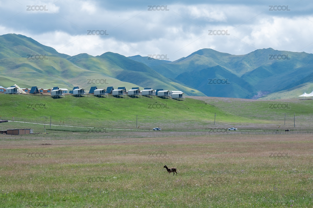 夏天甘肅甘南藏族自治州草原上的木屋與花草（主預覽-12097846） - 未分類 - 站酷設計師eDsPjokzbi原創(chuàng)素材 - 站酷ZCOOL