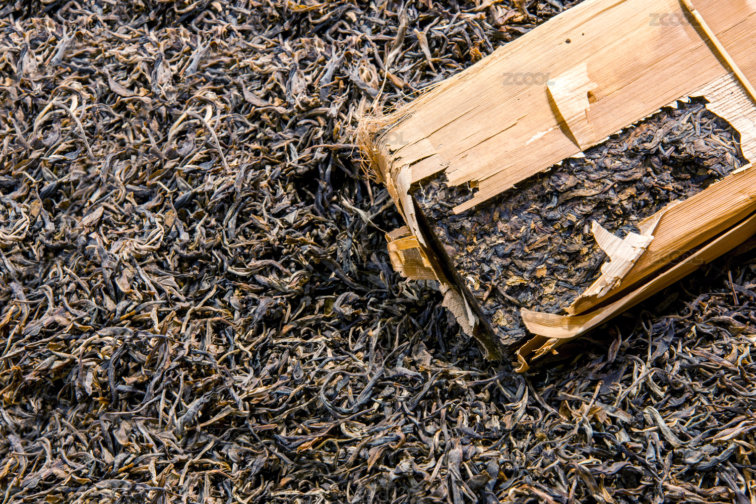 重庆茶博会上的普洱茶与砖茶