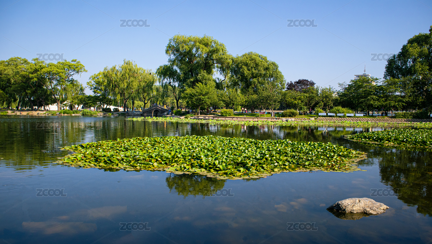 北京玉渊潭公园湖岸风光摄影