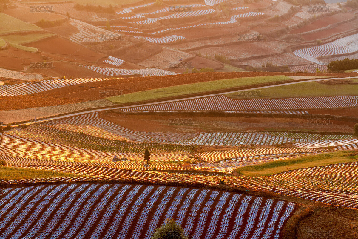 中國云南昆明東川紅土地日出（主預(yù)覽-7072438） - 未分類 - 站酷設(shè)計師金胡楊原創(chuàng)素材 - 站酷ZCOOL