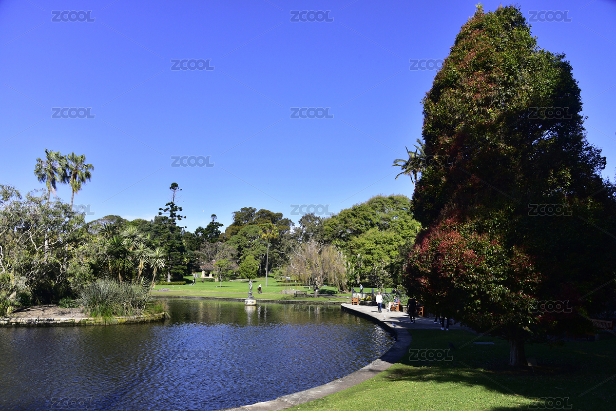澳大利亞悉尼皇家植物園綠色草坪綠樹湖泊（主預(yù)覽-5349251） - 未分類 - 站酷設(shè)計(jì)師時(shí)光來了原創(chuàng)素材 - 站酷ZCOOL