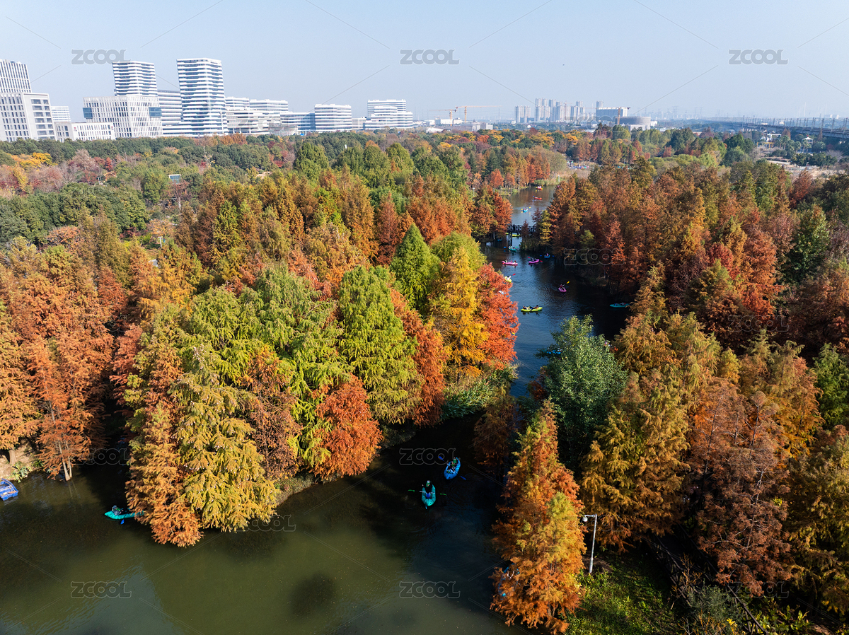 寧波植物園秋日水杉湖景航拍（主預(yù)覽-12559745） - 未分類 - 站酷設(shè)計(jì)師壹棵樹原創(chuàng)素材 - 站酷ZCOOL