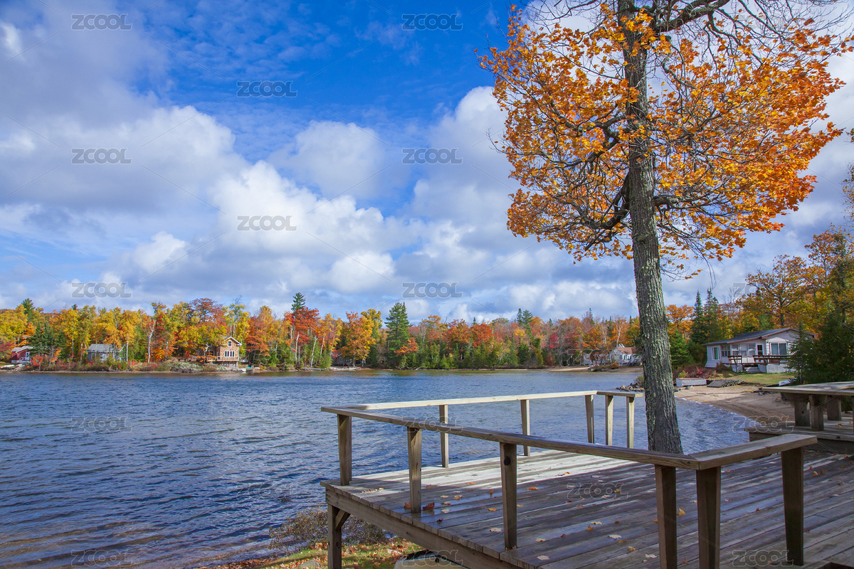 秋色（主预览-7691706） - 未分类 - 站酷设计师BenDesign原创素材 - 站酷ZCOOL