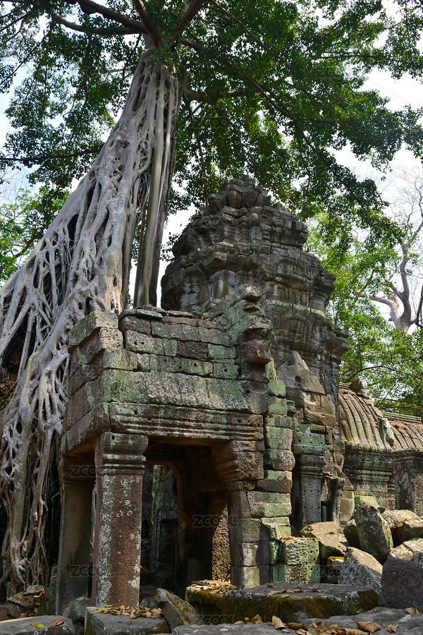 柬埔寨暹粒市吳哥古跡塔布隆寺歷史遺跡（主預覽-5351951） - 未分類 - 站酷設計師西南曉風原創(chuàng)素材 - 站酷ZCOOL