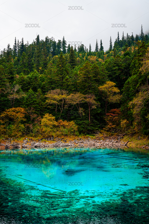 中国四川九寨沟五彩池景观（主预览-12339597） - 未分类 - 站酷设计师dalehall原创素材 - 站酷ZCOOL