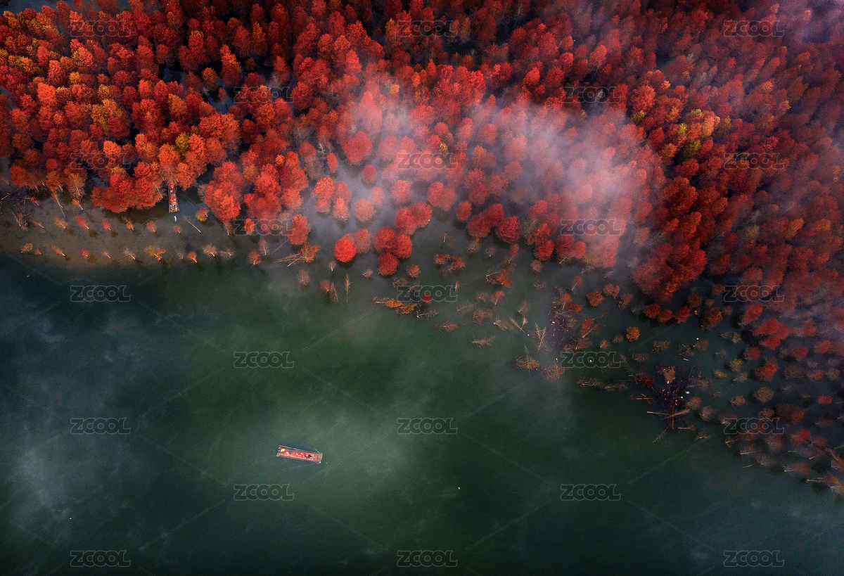 中國安徽皖南落羽杉濕地的游船（主預(yù)覽-6166012） - 未分類 - 站酷設(shè)計師自由的駱駝原創(chuàng)素材 - 站酷ZCOOL