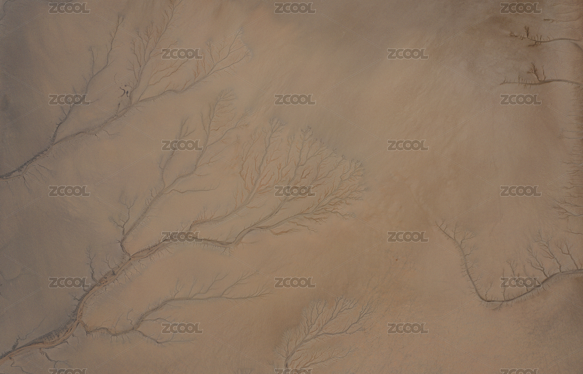 杭州錢塘江大潮褪去后遺留的潮汐樹（主預(yù)覽-239547） - 未分類 - 站酷設(shè)計師遠(yuǎn)在南方QAQ原創(chuàng)素材 - 站酷ZCOOL