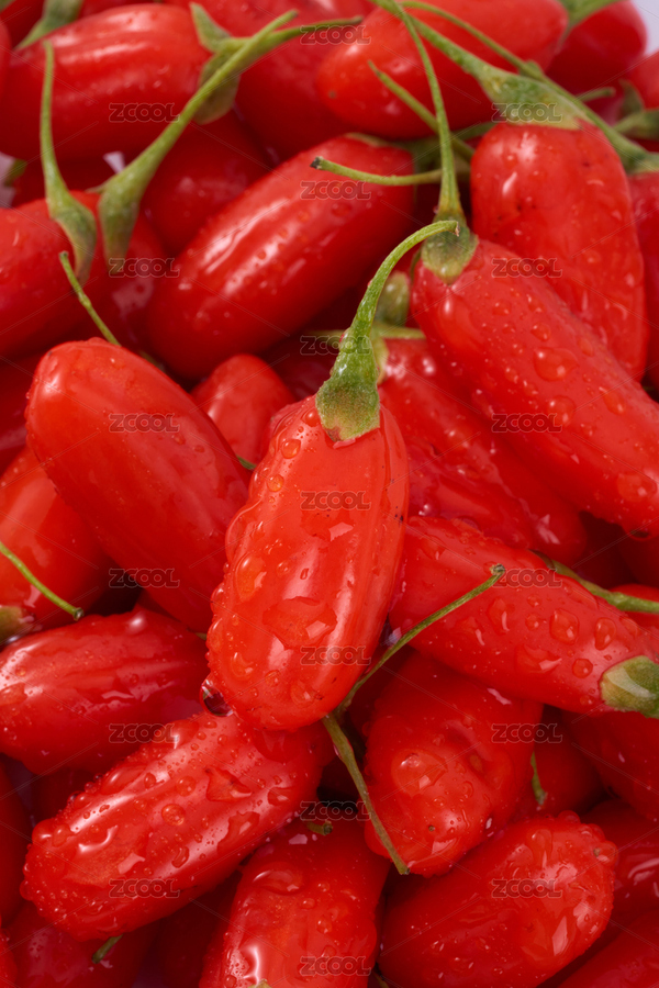 多顆枸杞鮮果（主預(yù)覽-7480840） - 未分類 - 站酷設(shè)計(jì)師番茄不吃魚原創(chuàng)素材 - 站酷ZCOOL