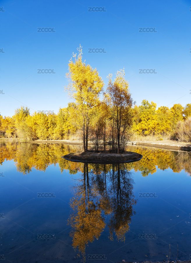 甘肅省酒泉市金塔縣胡楊林和金波湖秋天風光（主預覽-9101193） - 未分類 - 站酷設(shè)計師青稞的后來原創(chuàng)素材 - 站酷ZCOOL