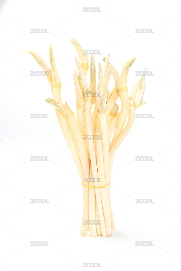 白色背景上的新鮮藕帶（主預(yù)覽-4162532） - 未分類(lèi) - 站酷設(shè)計(jì)師不是之一原創(chuàng)素材 - 站酷ZCOOL