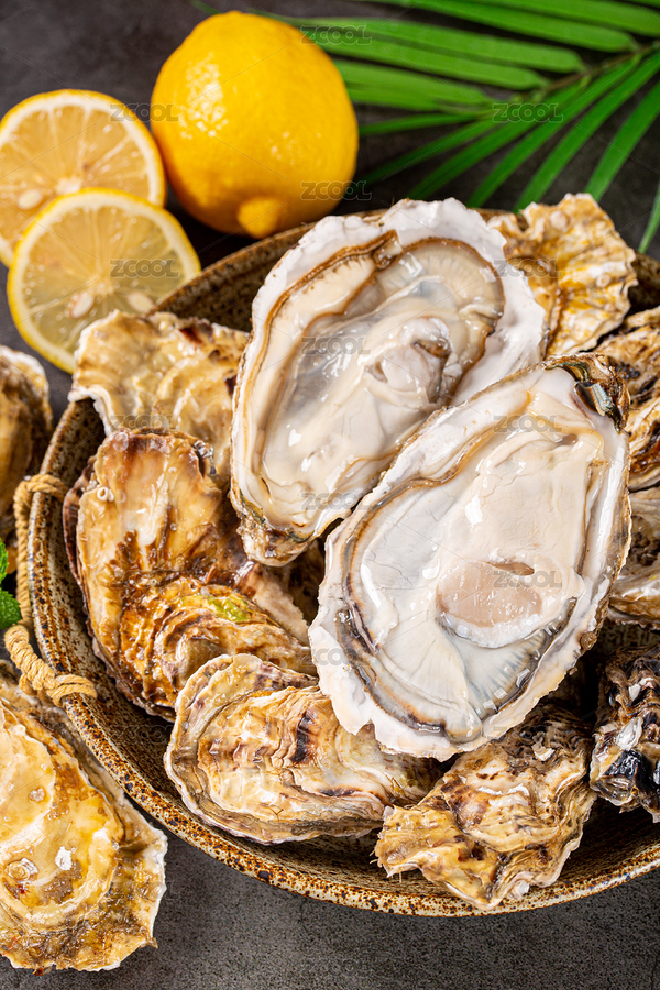 餐盤里的生蠔（主預覽-8648651） - 未分類 - 站酷設(shè)計師渡清美食攝影原創(chuàng)素材 - 站酷ZCOOL