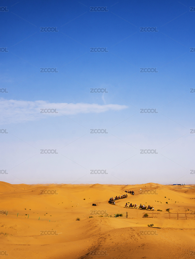 寧夏沙坡頭國(guó)家級(jí)自然保護(hù)區(qū)沙漠區(qū)駝隊(duì)走在沙漠上（主預(yù)覽-3177291） - 未分類 - 站酷設(shè)計(jì)師青稞的后來原創(chuàng)素材 - 站酷ZCOOL