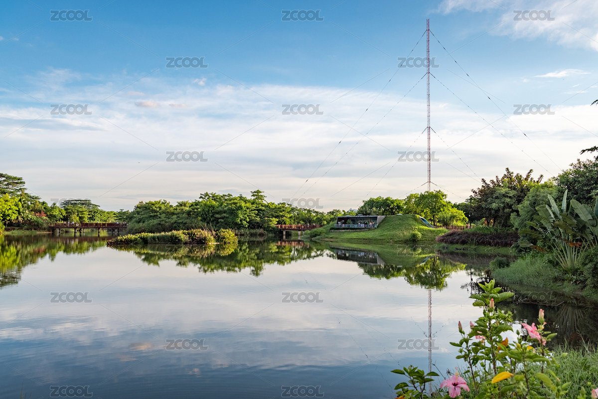 中國廣東深圳福田紅樹林生態(tài)公園（主預(yù)覽-8929095） - 未分類 - 站酷設(shè)計(jì)師咔嚓小菜鳥原創(chuàng)素材 - 站酷ZCOOL
