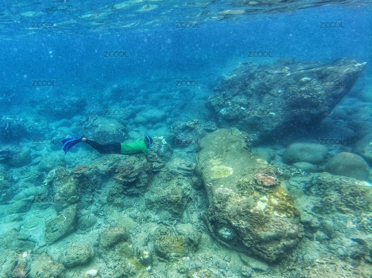 馬來西亞熱浪島浮潛看海底生物（主預(yù)覽-10933888） - 未分類 - 站酷設(shè)計師colins123原創(chuàng)素材 - 站酷ZCOOL