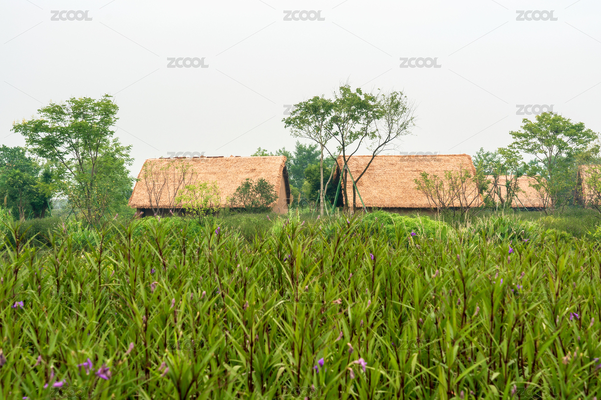 中國浙江省杭州余杭區(qū)良渚國家遺址公園風(fēng)光（主預(yù)覽-7326439） - 未分類 - 站酷設(shè)計師Z26302855原創(chuàng)素材 - 站酷ZCOOL