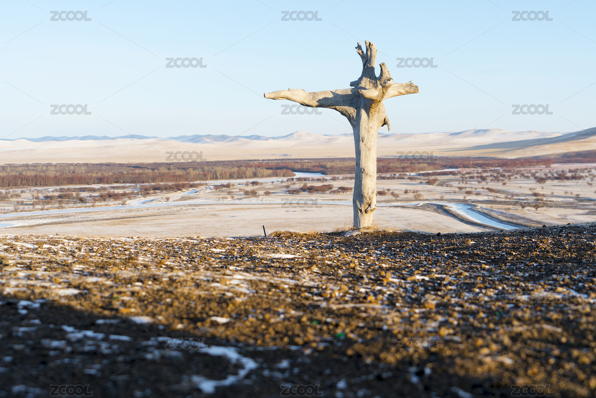 中国内蒙古呼伦贝尔市冬天山坡上倒立的木根（主预览-8907697） - 未分类 - 站酷设计师jsdongli原创素材 - 站酷ZCOOL